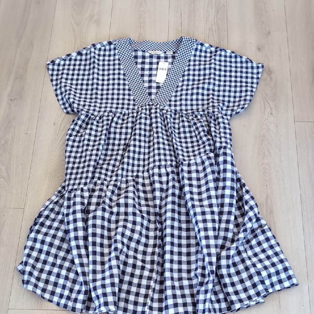 Anthropologie Navy and White Gingham Dress